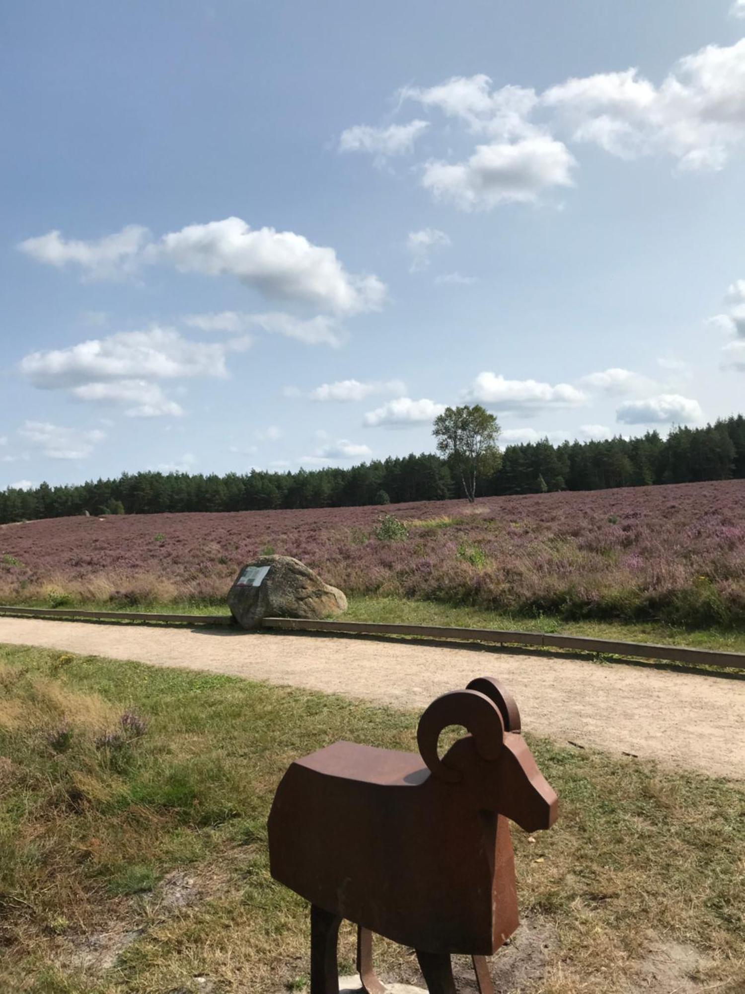 Naturhotel Hof Ehlers Bergen  Eksteriør bilde